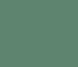 Настенная плитка Genesis Green matt (669.0047.0071) 30x60 от Love Tiles (Португалия)