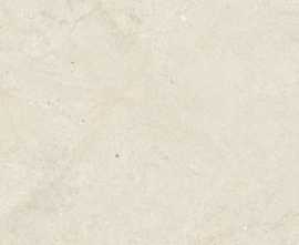 Керамогранит Durango Bone (P18571401) 59.6x59.6 от Porcelanosa (Испания)