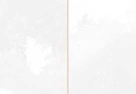 Настенная плитка FS TRADITION SQUARE White (30896) 20x40 от Francisco Segarra (Испания)