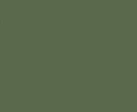 Напольная плитка Luster Verde FT3LST24 41.8x41.8 от AltaCera (Россия)