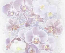 Панно Orchids S/2 SW9ORH02 49.8x50 от AltaCera (Россия)