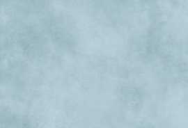 Настенная плитка Richard (TWU09RCD606) 24.9x50x7.5 от Alma Ceramica (Россия)