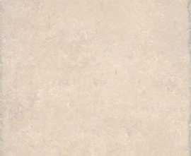 Керамогранит Караоке 1221HS беж 9.8x9.8 от Kerama Marazzi (Россия)