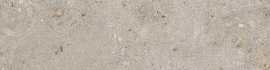 Подступенок Риккарди бежевый матовый (SG653820R/5) 60x10.7x0.9 от Kerama Marazzi (Россия)