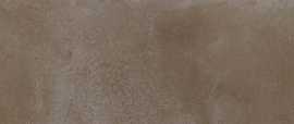 Настенная плитка Тракай коричневый светлый глянцевый (9039) 8.5x28.5 от Kerama Marazzi (Россия)
