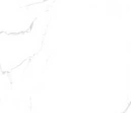 Керамогранит Silver Statuario glossy 60x120 от Maimoon Ceramica (Индия)