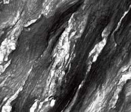 Керамогранит Cristina Black highglossy 60x120 от Maimoon Ceramica (Индия)