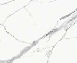 Керамогранит BIEN0056 Bien Statuario Goya Matte Rec 60x60x0.85 от Bien (Турция)
