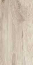Керамогранит Ashton (GFA92ATN40R) 20x90x9 от Alma Ceramica (Россия)