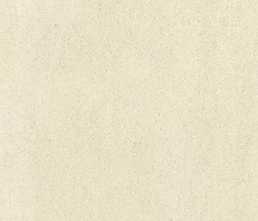Керамогранит BASALTINA FBA60121D матовый Rect 60x120 от Enping Jingye Ceramic (Китай)