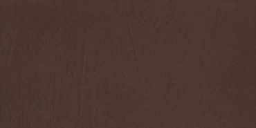 Керамогранит CS_Brown 30x60 от Porcelaingres (Германия)