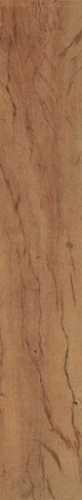 Керамогранит FS FOREST PLANK NATURAL (0100034881) 7.3x45 от Francisco Segarra (Испания)
