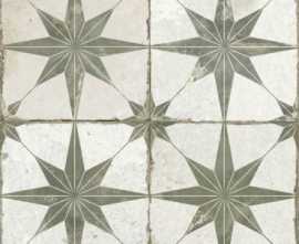 Напольная плитка FS STAR Sage (23199) 45x45 от Francisco Segarra (Испания)