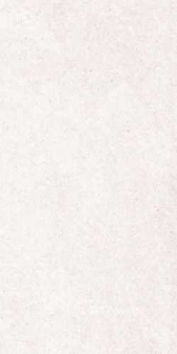 Керамогранит AODN NA2A Helena Light Gray Rectified 59.7x119.8 от Goldis Tile (Иран)