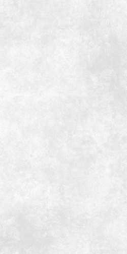 Керамогранит Ideal светло-серый ректификат (16666) 44.8x89.8 от Mei (Германия)