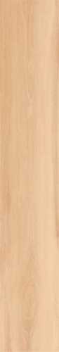 Керамогранит JUST COLOR Honey (58602N) 20x120 от Gardenia Orchidea (Италия)