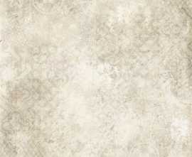 Керамогранит Meteora Beige Decoro 61x61 от Tuscania Ceramiche (Италия)