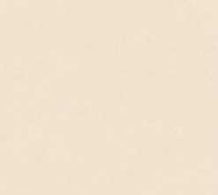 Керамогранит Mirage Beige Polished (6 мм) (MN144AP321606) 160x320 от Moreroom (Китай)