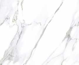 Керамогранит MONSTER WHITE 60 60x60 от Gravita (Индия)