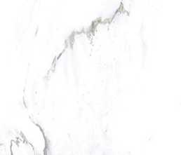 Керамогранит MONSTER WHITE 120 60x120 от Gravita (Индия)