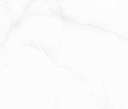 Керамогранит Onyx Liola White Glossy 60x120x0.9 от Art&Natura Ceramic (Индия)