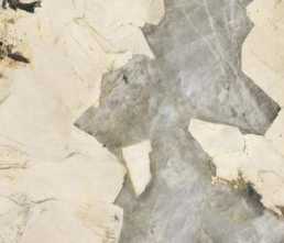 Керамогранит Patagonia Quartzite Polished (6 мм) (MN813BP321606) 160x320 от Moreroom (Китай)