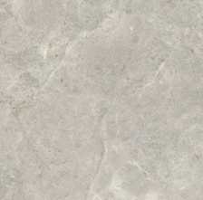 Керамогранит Platinum Leica Polished (6 мм) (MN226AP261206) 120x260 от Moreroom (Китай)