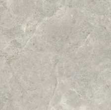 Керамогранит Platinum Leica Matt (6 мм) (MN226AY271206) 120x270 от Moreroom (Китай)