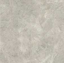 Керамогранит Platinum Leica Matt (12 мм) (MN226AY321612) 160x320 от Moreroom (Китай)