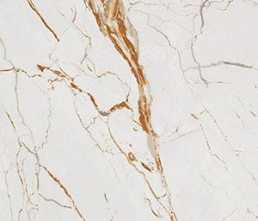 Керамогранит PORCESSHINE VANITY WHITE  super polished 60x120 от Prissmacer (Испания)