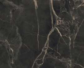 Керамогранит PURITY OF MARBELE SUPREME DARK LUX (60SD) 60x60 от Supergres Ceramiche (Италия)
