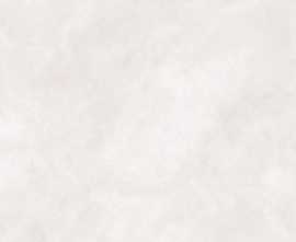 Керамогранит Rockstone Newport White Matt (N20514) 120x120 от Neodom (Индия)