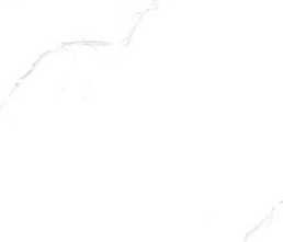 Керамогранит Sisam White Glossy120 60x120 от Velsaa (Индия)