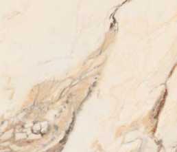 Керамогранит Splendida Calacatta Gold Glossy (CV20184) 60x120 от Neodom (Индия)