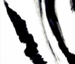 Керамогранит Splendida Panda White Glossy (CV20165) 60x120 от Neodom (Индия)