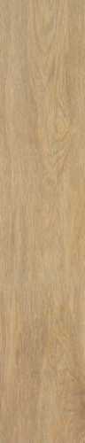 Керамогранит Tacora Camel Matt Rect 22.7x119.5 от STN Ceramica (Stylnul) (Испания)
