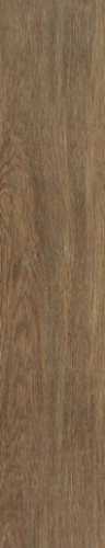 Керамогранит Tacora Brown Matt Rectt 22.7x119.5 от STN Ceramica (Stylnul) (Испания)
