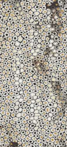 Декор THE ROOM JAGUAR6 260LP (PAT WH6 260 LP) (178711) 120x260 от Imola Ceramica (Италия)
