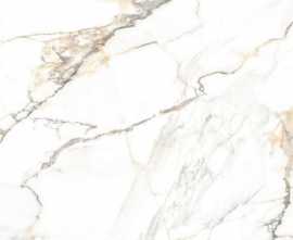 Керамогранит Trendy (GFU04TRD04R) 60x60x9 от Alma Ceramica (Россия)