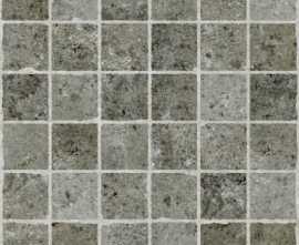 Керамогранит F1ED NAOY Vito Gray Rectified 59.4x59.4 от Goldis Tile (Иран)