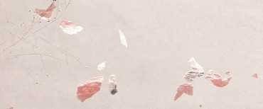 Настенная плитка Ylico Petals (fQWF) 50x120 от FAP Ceramiche (Италия)