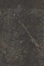 Настенная плитка Karachi Grey 59.6x150 от Porcelanosa (Испания)