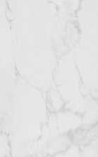 Настенная плитка Marmol Carrara Blanco XL 45x120 от Porcelanosa (Испания)