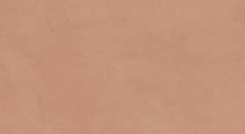 Настенная плитка Каннареджо оранжевый матовый (7254) 20x50x8 от Kerama Marazzi (Россия)