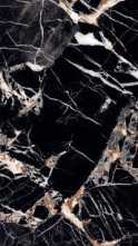 Слэб керамический ETNICO BLACK Polished 80x240x15 от Staro (Индия)