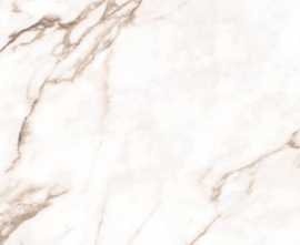 Керамогранит Statuario Super полированный 60x60 от Ocean Ceramic (Индия)
