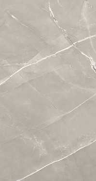 Керамогранит ARMANI GREY SILK 60x120 от A-Ceramica  (Индия)