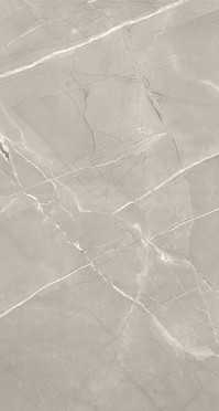 Керамогранит ARMANI GREY Polished 60x120 от A-Ceramica  (Индия)