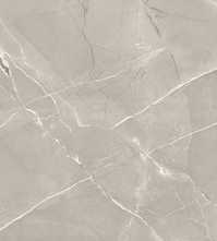 Керамогранит ARMANI GREY Polished 60x120 от A-Ceramica  (Индия)