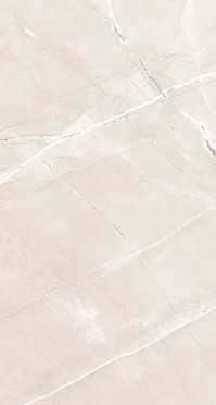 Керамогранит ARMANI BIANCO Polished 60x120 от A-Ceramica  (Индия)